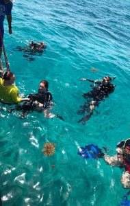 combat-wounded-scuba-research-trip-06-26-reef-restoration-35