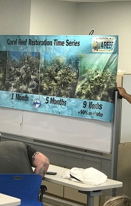 combat-wounded-scuba-research-trip-06-26-reef-restoration-6