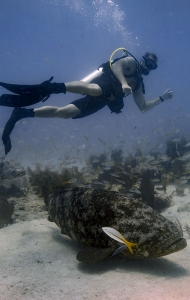 combat-wounded-veteran-scuba-challenge-02