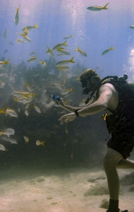 combat-wounded-veteran-scuba-challenge-11