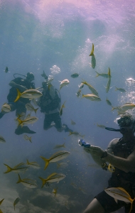 combat-wounded-veteran-scuba-challenge-12