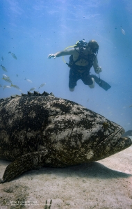 combat-wounded-veteran-scuba-challenge-14