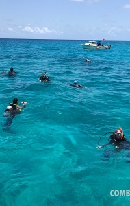SCUBA Challenge Coral Restoration