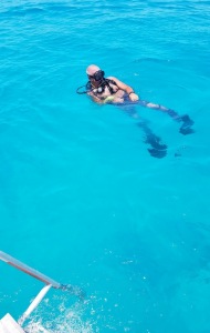 combat-wounded-veteran-scuba-101