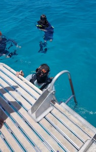 combat-wounded-veteran-scuba-115
