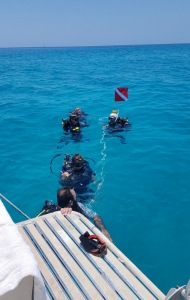 combat-wounded-veteran-scuba-116