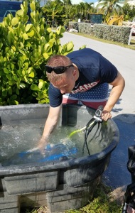 combat-wounded-veteran-scuba-18