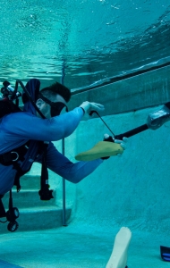 photo-12