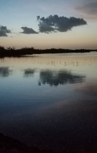 combat-wounded-vets-night-dive-key-west