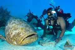 SCUBA Challenge - 25 JUNE - Recreational Dives