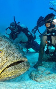 combat-wounded-veteran-scuba-08