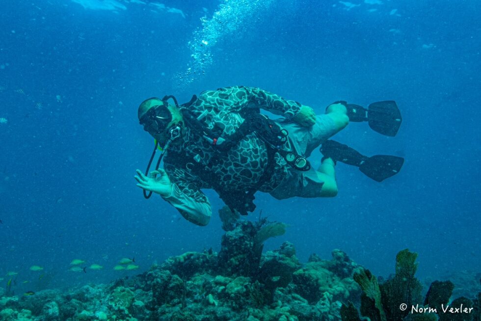 combat wounded SCUBA divers underwater