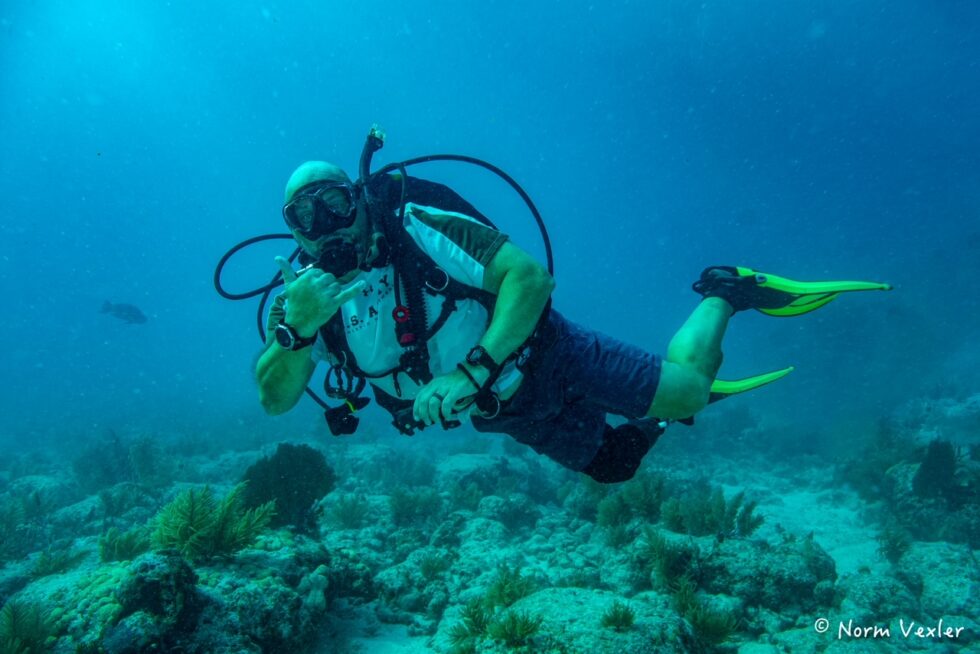combat wounded SCUBA divers underwater