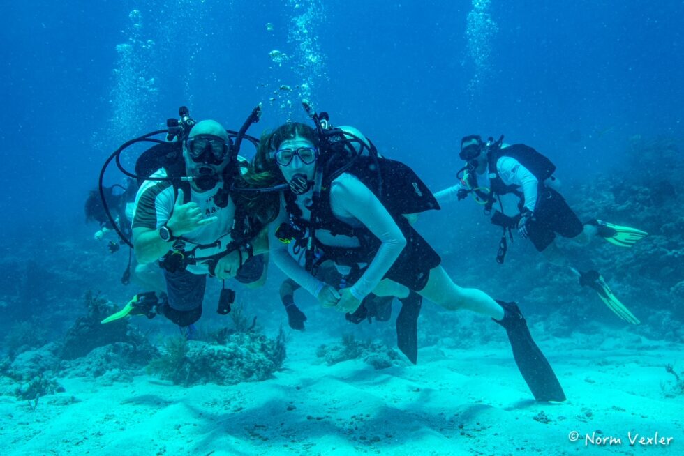 combat wounded SCUBA divers underwater